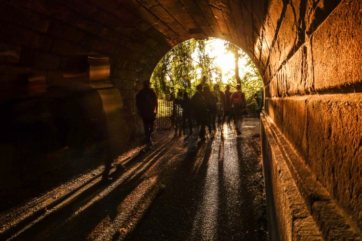 The Shortbread Shed-Trey photo walk 14