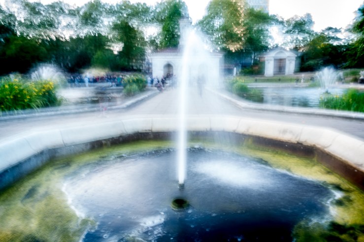 The Shortbread Shed-Trey photo walk 16